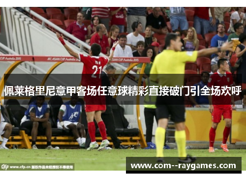 佩莱格里尼意甲客场任意球精彩直接破门引全场欢呼