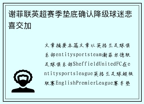 谢菲联英超赛季垫底确认降级球迷悲喜交加 谢菲联英超赛季垫底确认降级球迷悲喜交加